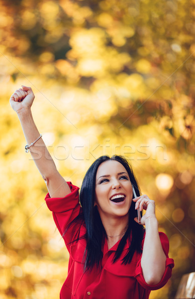 Successful News Arrived Stock photo © MilanMarkovic78