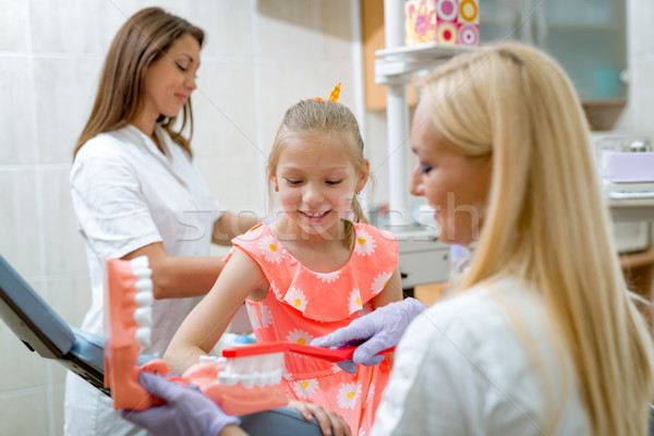 Zahnpflege Zahnarzt Lernen kleines Mädchen Patienten Pinsel Stock foto © MilanMarkovic78