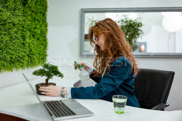 Growing My Plant So As My Business  Stock photo © MilanMarkovic78