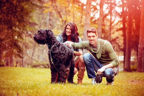 Young Couple With Schnauzer Stock photo © MilanMarkovic78