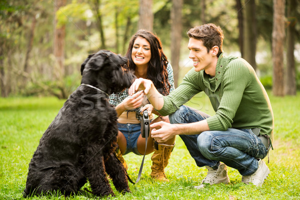 Foto stock: Perro · jóvenes · chica · atractiva · parque · amigo