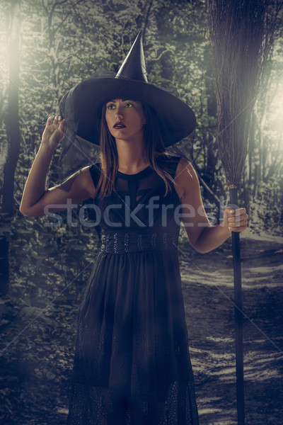 Halloween Witch Stock photo © MilanMarkovic78