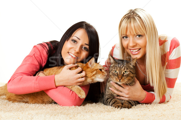 Amigos belo meninas gato doméstico casa Foto stock © MilanMarkovic78