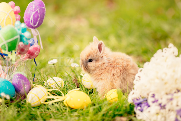 Frohe Ostern cute wenig bunny Blumen Ostereier Stock foto © MilanMarkovic78