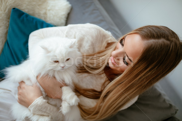 Amore cat cute rilassante Foto d'archivio © MilanMarkovic78
