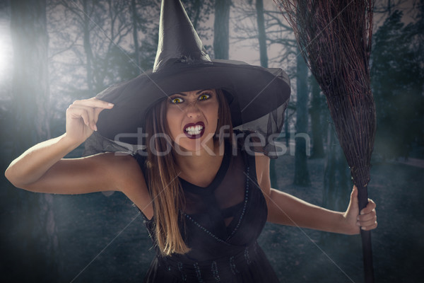 Halloween Witch Stock photo © MilanMarkovic78