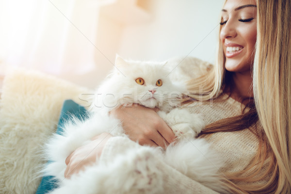 Foto stock: Bonitinho · gato · menina · belo · mulher · jovem · relaxante