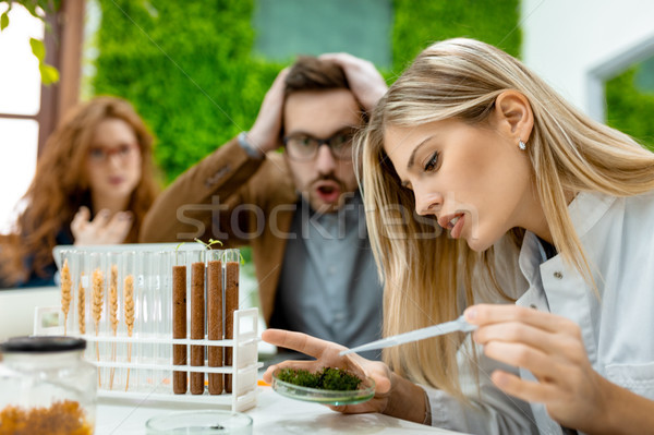 Testing Of Pesticides On Plants Stock photo © MilanMarkovic78