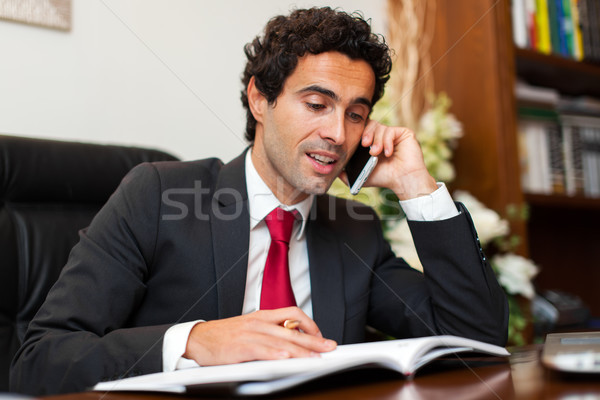 ügyvéd olvas könyv beszél telefon fa Stock fotó © Minervastock