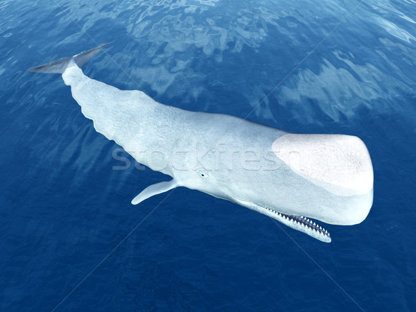Sperma bálna számítógép generált 3d illusztráció Stock fotó © MIRO3D