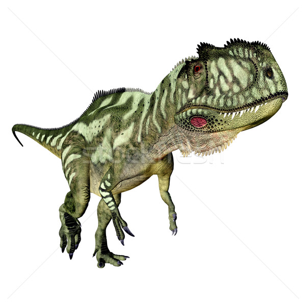 Dinosaur Yangchuanosaurus Stock photo © MIRO3D