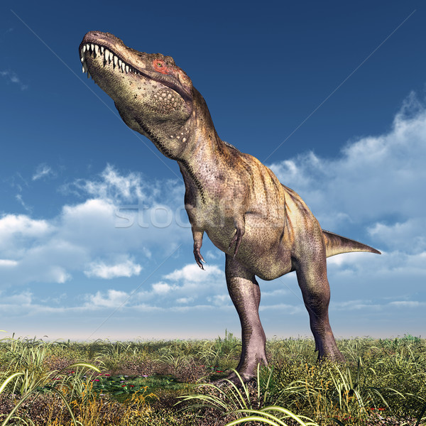 Tyrannosaurus Rex Stock photo © MIRO3D