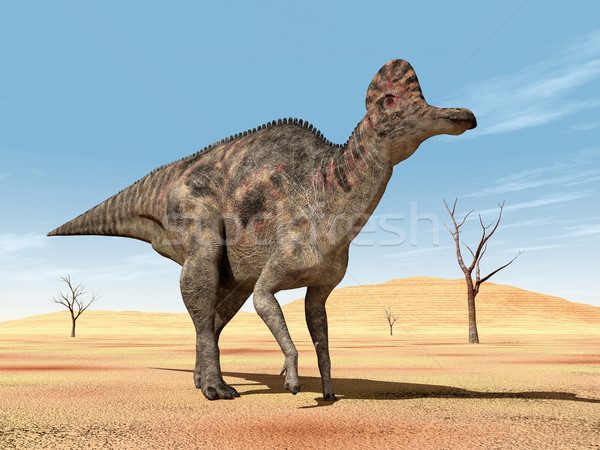 Dinosaur Corythosaurus Stock photo © MIRO3D