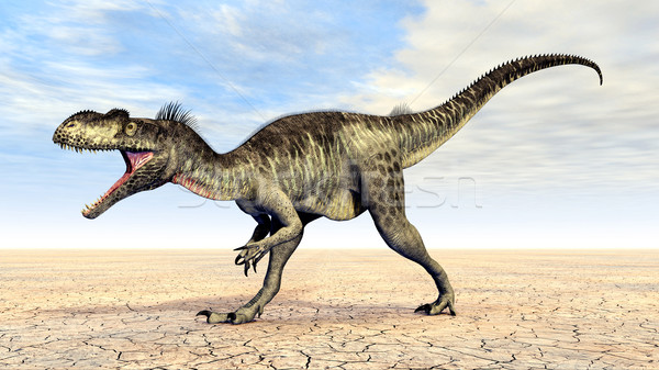 Dinosaur Megalosaurus Stock photo © MIRO3D