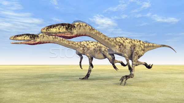 Dinosaur Coelophysis Stock photo © MIRO3D