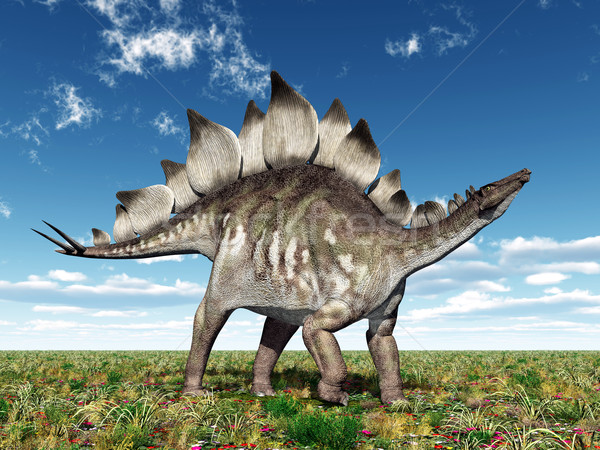 Dinosaur Stegosaurus Stock photo © MIRO3D