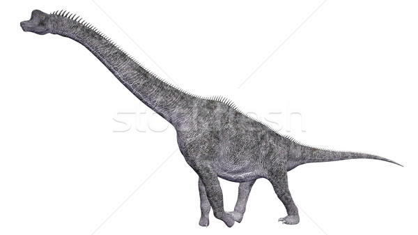 Dinosaur Brachiosaurus Stock photo © MIRO3D