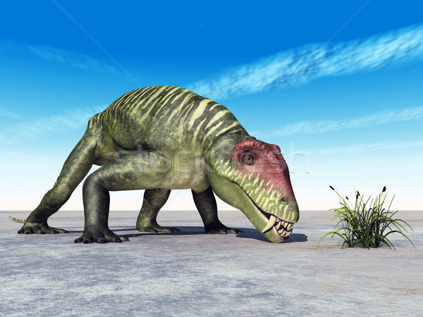 Doliosauriscus Stock photo © MIRO3D