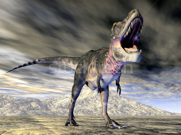 Dinosaur Tarbosaurus Stock photo © MIRO3D