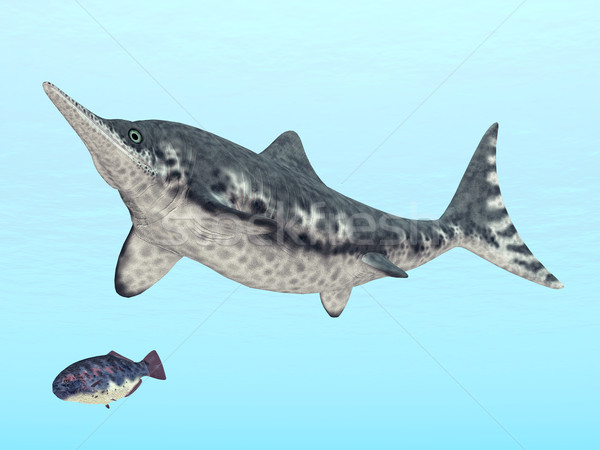 Ichthyosaur Stenopterygius Stock photo © MIRO3D