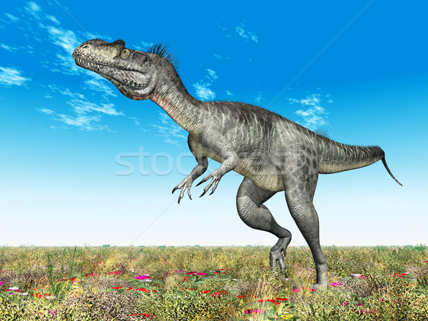 Dinosaur Megalosaurus Stock photo © MIRO3D