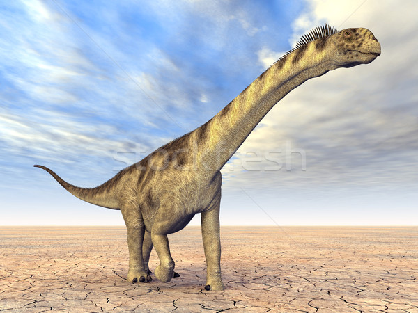 Dinosaur Camarasaurus Stock photo © MIRO3D