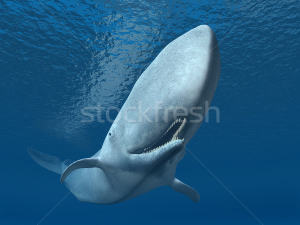 сперма кит компьютер генерируется 3d иллюстрации Сток-фото © MIRO3D