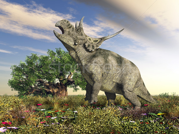 Dinosaur Diabloceratops Stock photo © MIRO3D