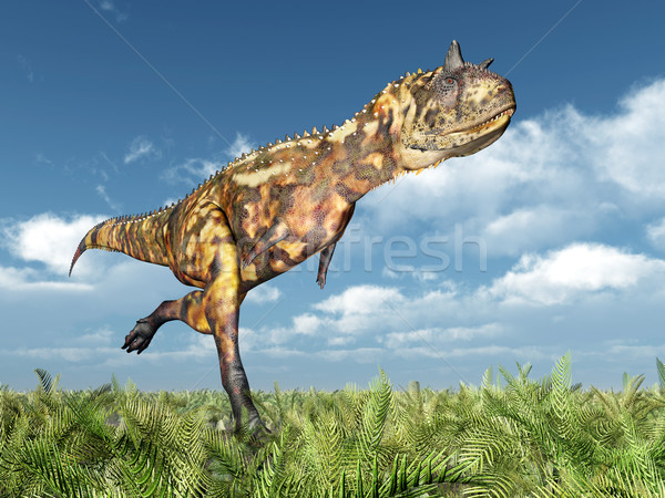 Dinosaur Carnotaurus Stock photo © MIRO3D