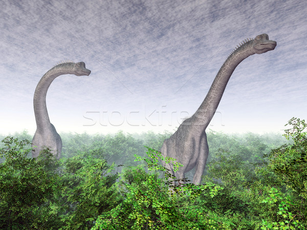 Dinosaur Brachiosaurus Stock photo © MIRO3D