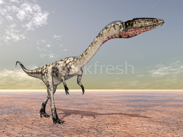 Dinosaur Coelophysis Stock photo © MIRO3D