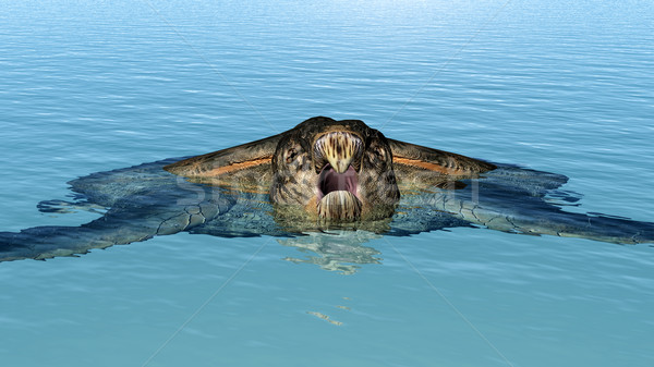 Giant Sea Turtle Archelon Stock photo © MIRO3D