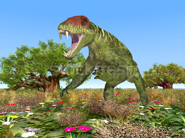 Doliosauriscus Stock photo © MIRO3D