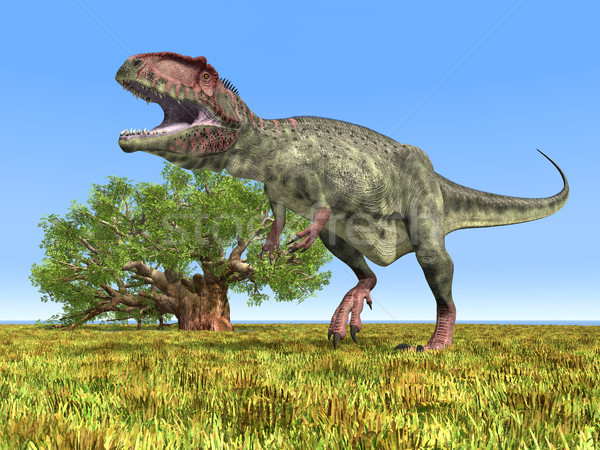Dinosaur Giganotosaurus Stock photo © MIRO3D