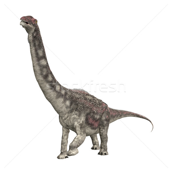 Stock photo: Dinosaur Diamantinasaurus