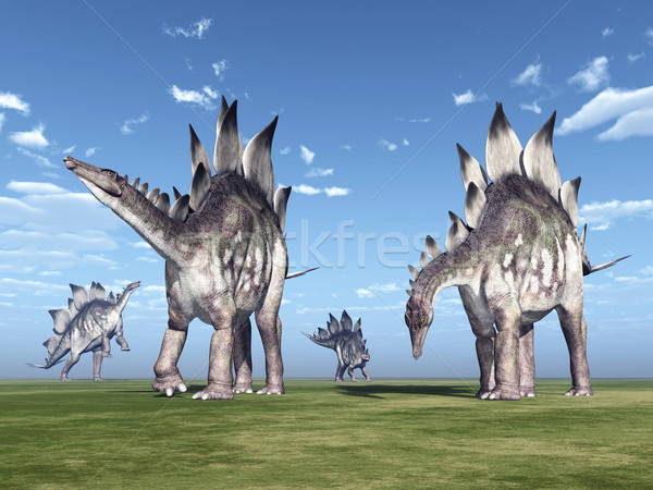 Dinosaur Stegosaurus Stock photo © MIRO3D
