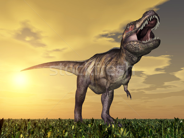 компьютер генерируется 3d иллюстрации динозавр солнце закат Сток-фото © MIRO3D
