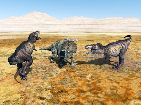 Stock photo: Tyrannosaurus Rex and Albertaceratops