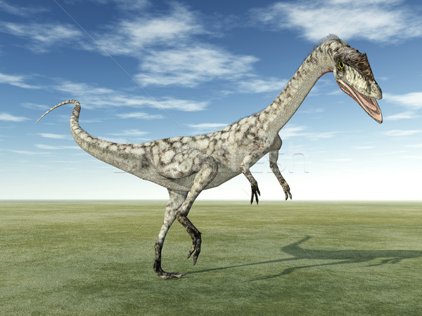 Dinosaur Coelophysis Stock photo © MIRO3D