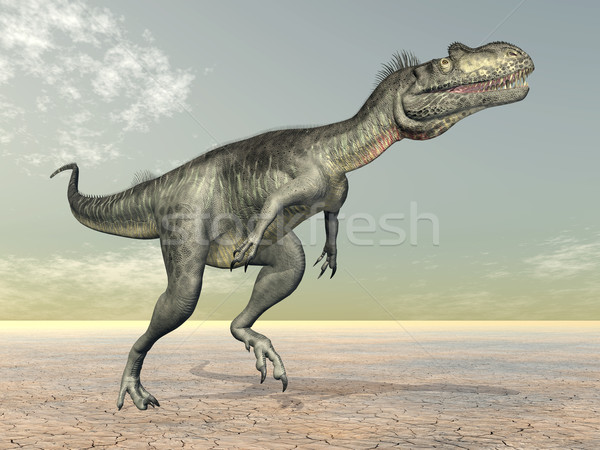 Dinosaur Megalosaurus Stock photo © MIRO3D