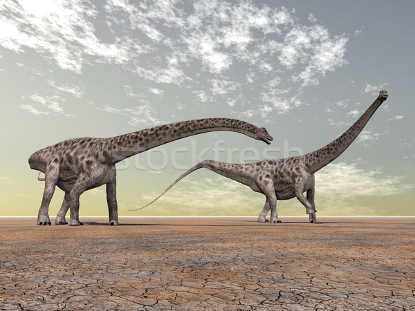 Stock photo: Dinosaur Diplodocus