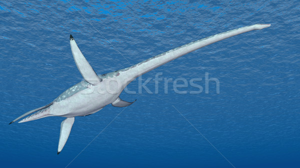 Plesiosaurus Stock photo © MIRO3D