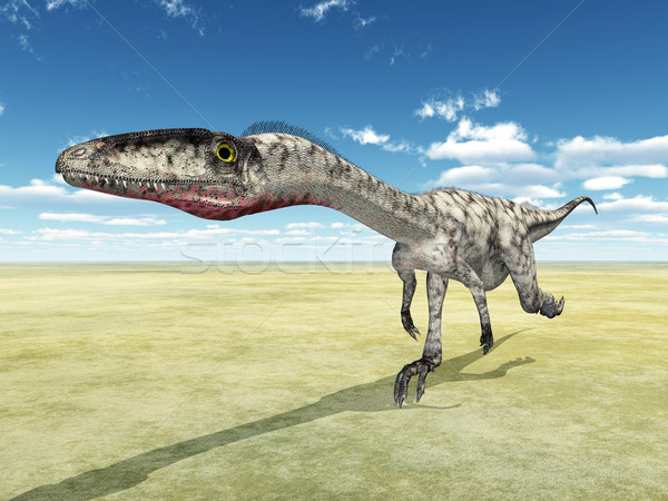 Dinosaur Coelophysis Stock photo © MIRO3D