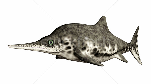 Ichthyosaur Stenopterygius Stock photo © MIRO3D