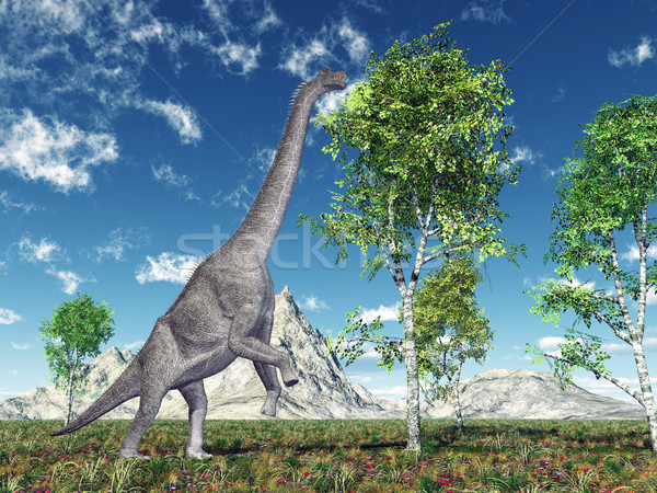 Dinosaur Brachiosaurus Stock photo © MIRO3D