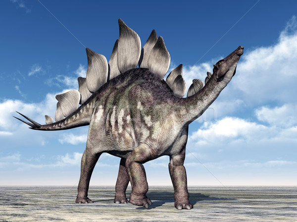 Dinosaur Stegosaurus Stock photo © MIRO3D
