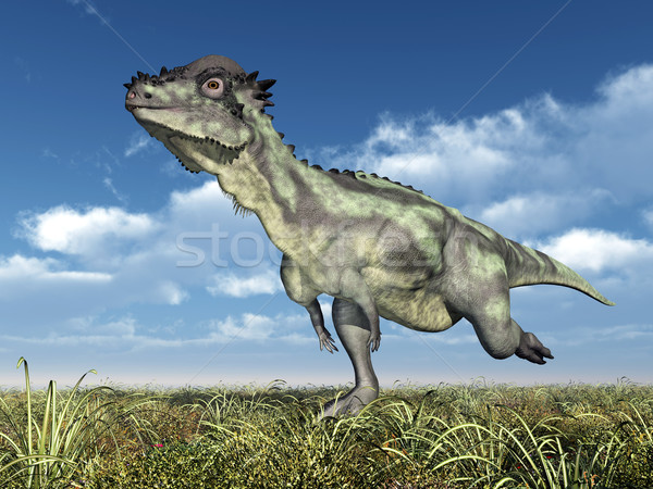 Dinosaur Pachycephalosaurus Stock photo © MIRO3D