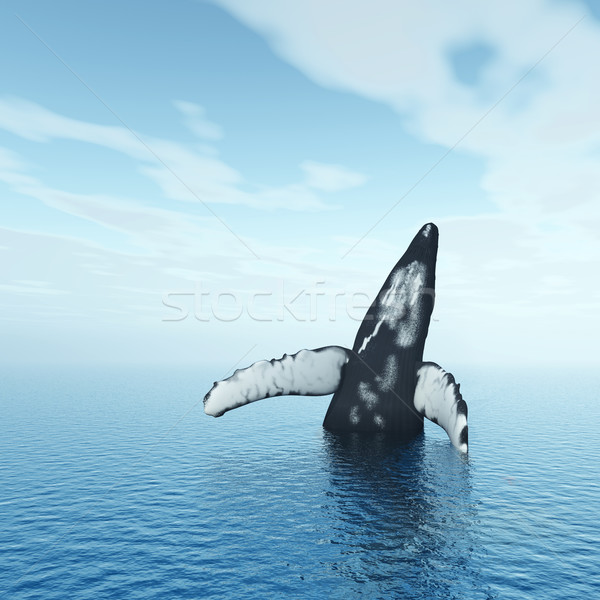 Jumping Humpback Whale Stock photo © MIRO3D
