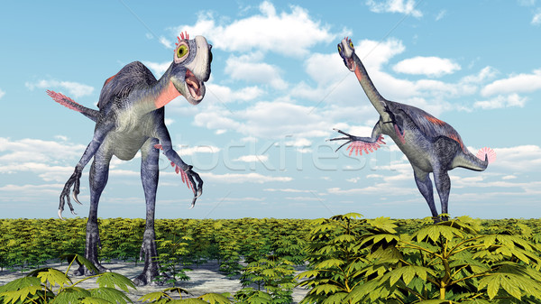 Dinosaur Gigantoraptor Stock photo © MIRO3D