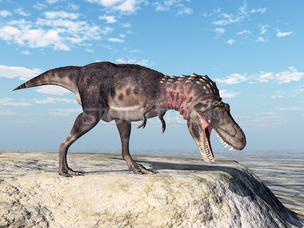 Dinosaur Tarbosaurus Stock photo © MIRO3D